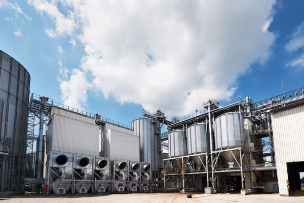 Screenshot 2025-08-13 103522